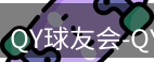 qy球友会